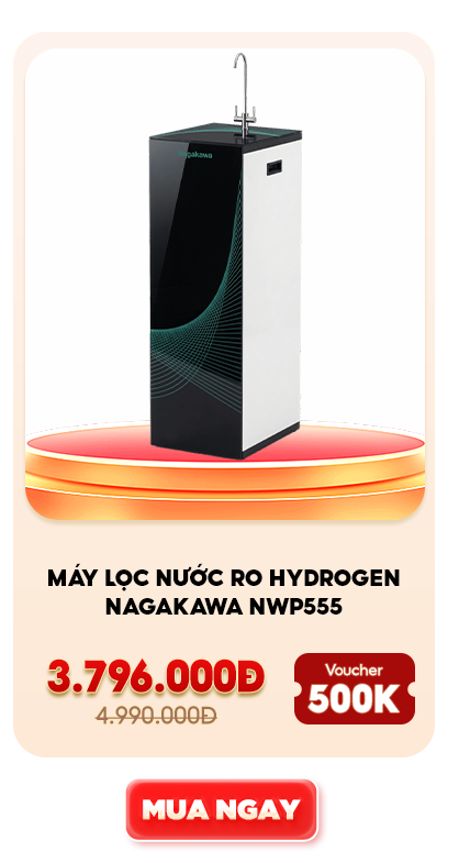 NWP555