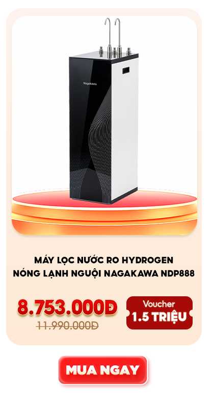 NDP888